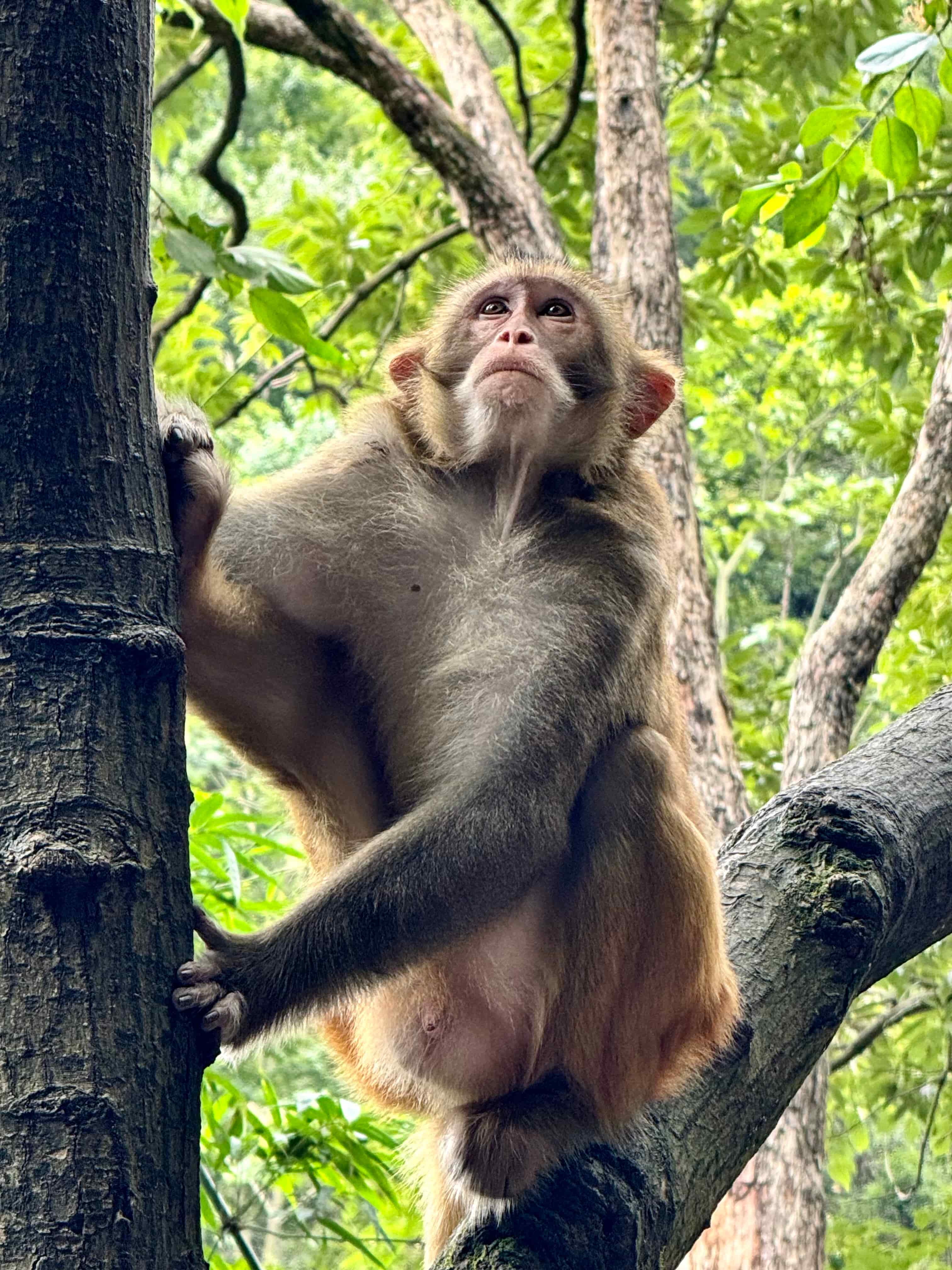 贵州·黔灵山(Qianling Village)